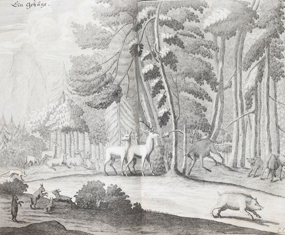 Große Abbildung Nr.5: 145-531 Fleming,H.F.v.: (Jagd)