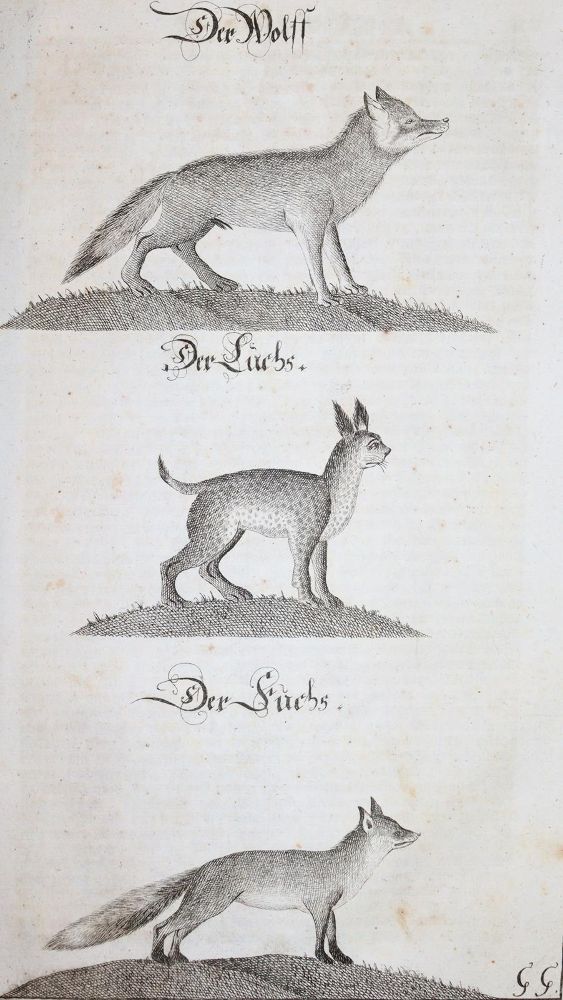 Große Abbildung Nr.6: 145-531 Fleming,H.F.v.: (Jagd)