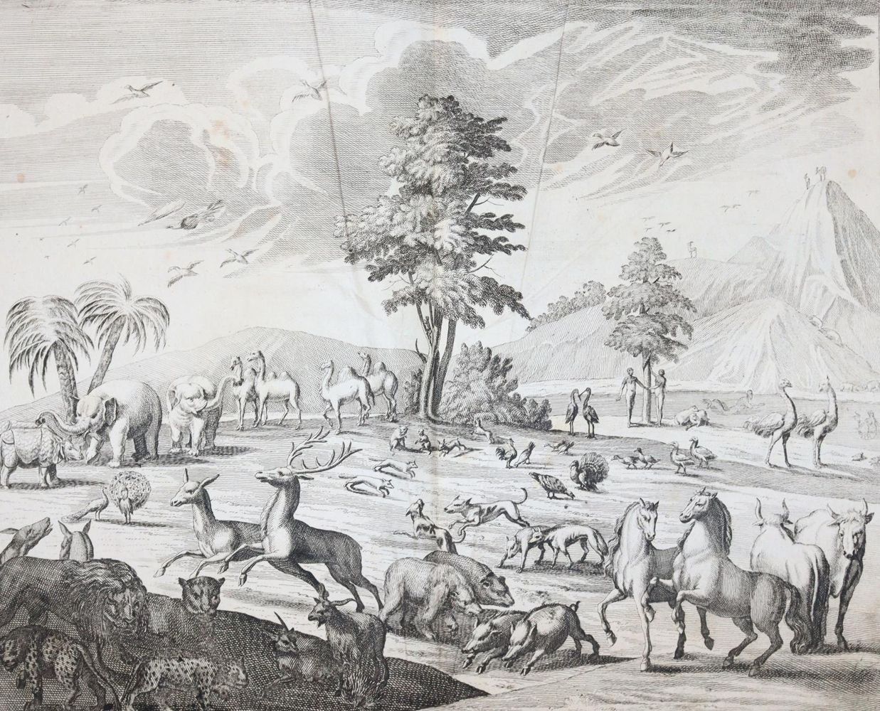 Große Abbildung Nr.8: 145-531 Fleming,H.F.v.: (Jagd)