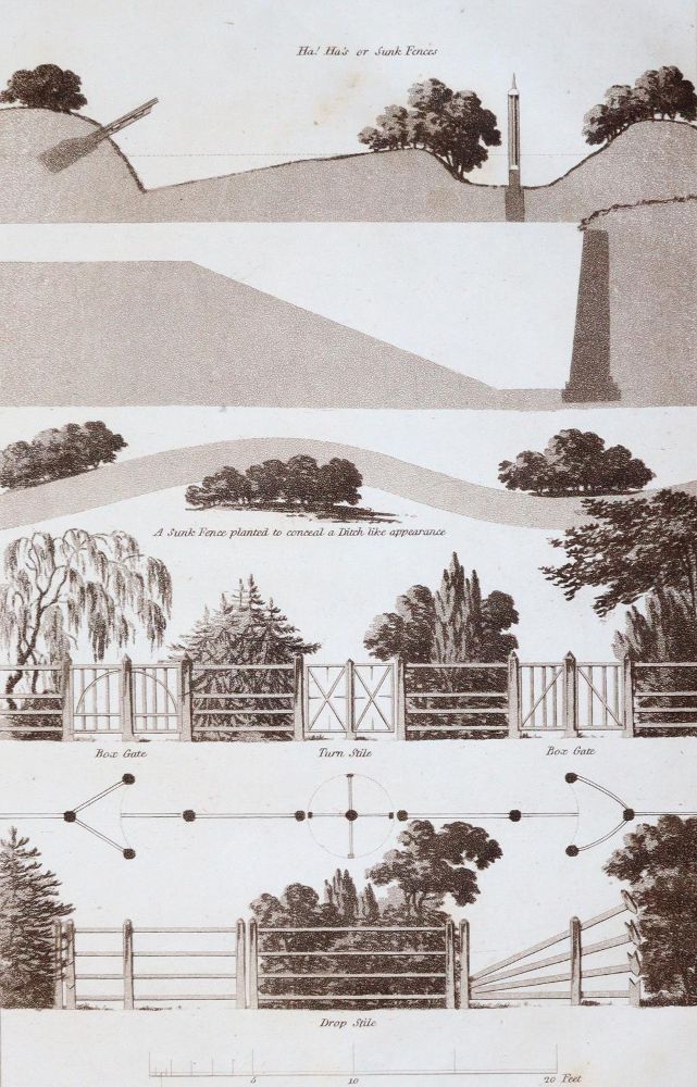 Große Abbildung Nr.2: 145-626 Plaw,J.: (Architektur)