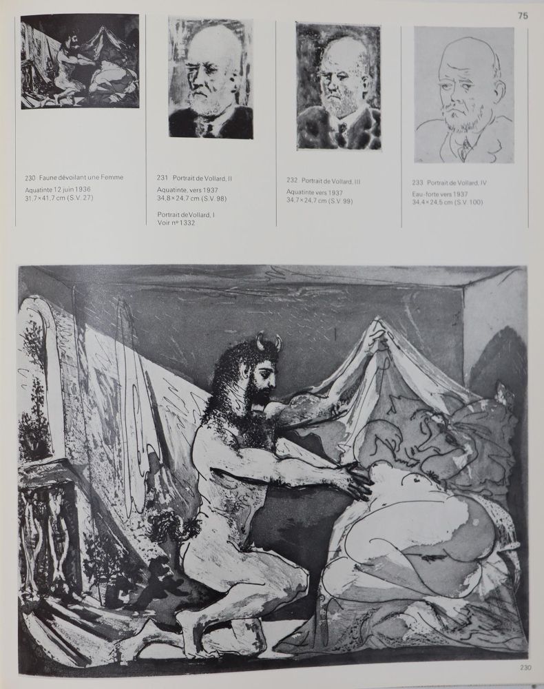 Große Abbildung Nr.6: 145-663 Sammlung: (Picasso)