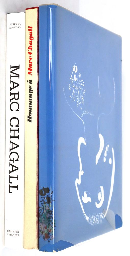 Große Abbildung Nr.7: 145-663 Sammlung: (Picasso)