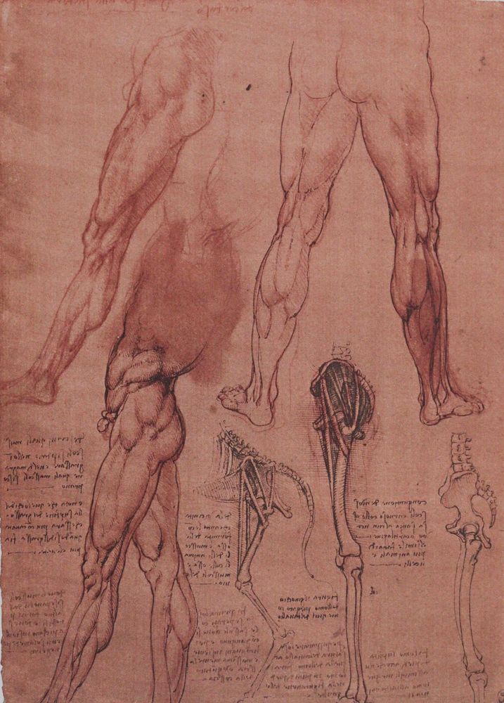 Große Abbildung Nr.5: 145-724 Leonardo da Vinci.: (Faksimile)
