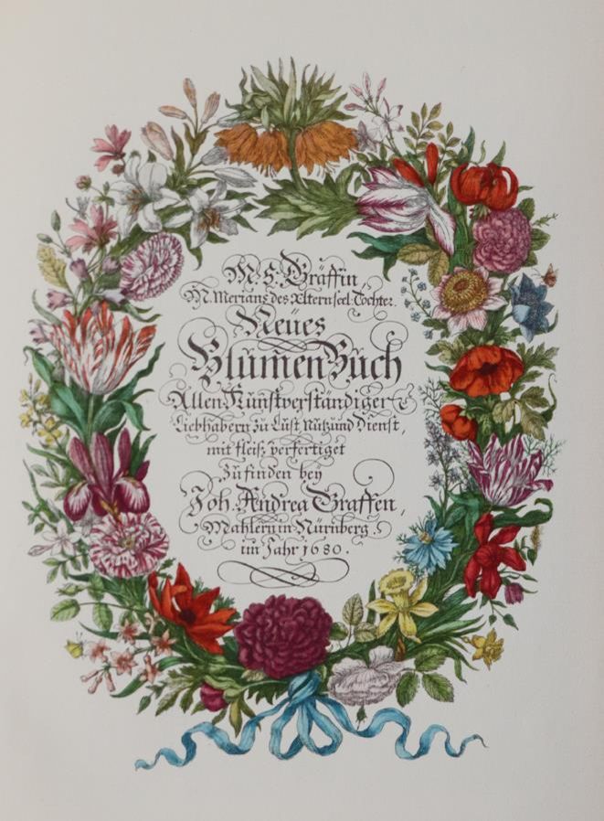 Merian,M.S. Ленинградские акварели