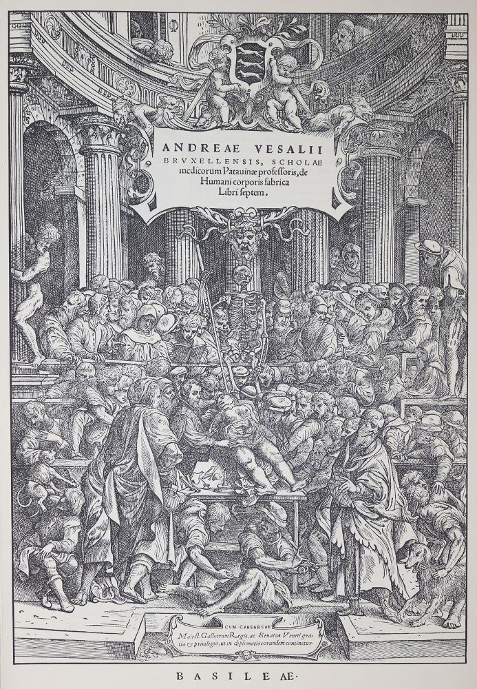 Vesalius,A. – De humani corporis fabrica