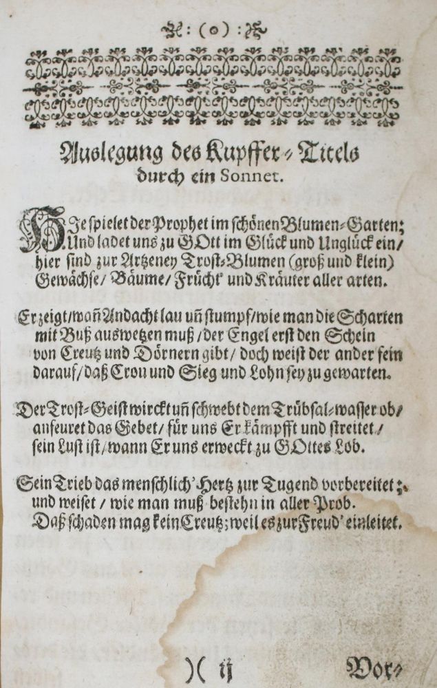 Große Abbildung Nr.7: 145-88 (Hohberg,W.H.v.).: (Emblemata)