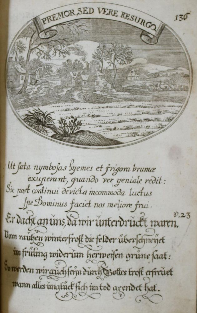 Große Abbildung Nr.8: 145-88 (Hohberg,W.H.v.).: (Emblemata)