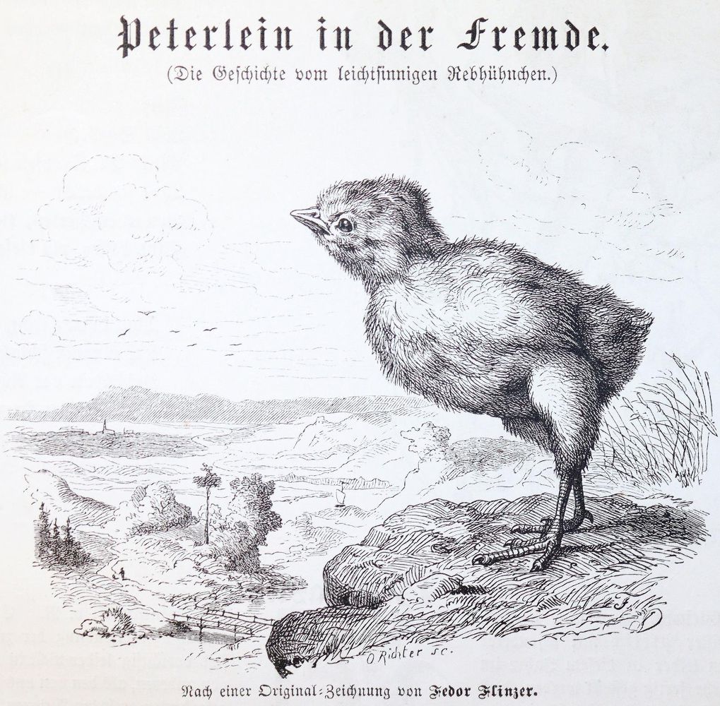 Große Abbildung Nr.3: 145-900 Lohmeyer,J. (Hrsg.).: (Children´s books)
