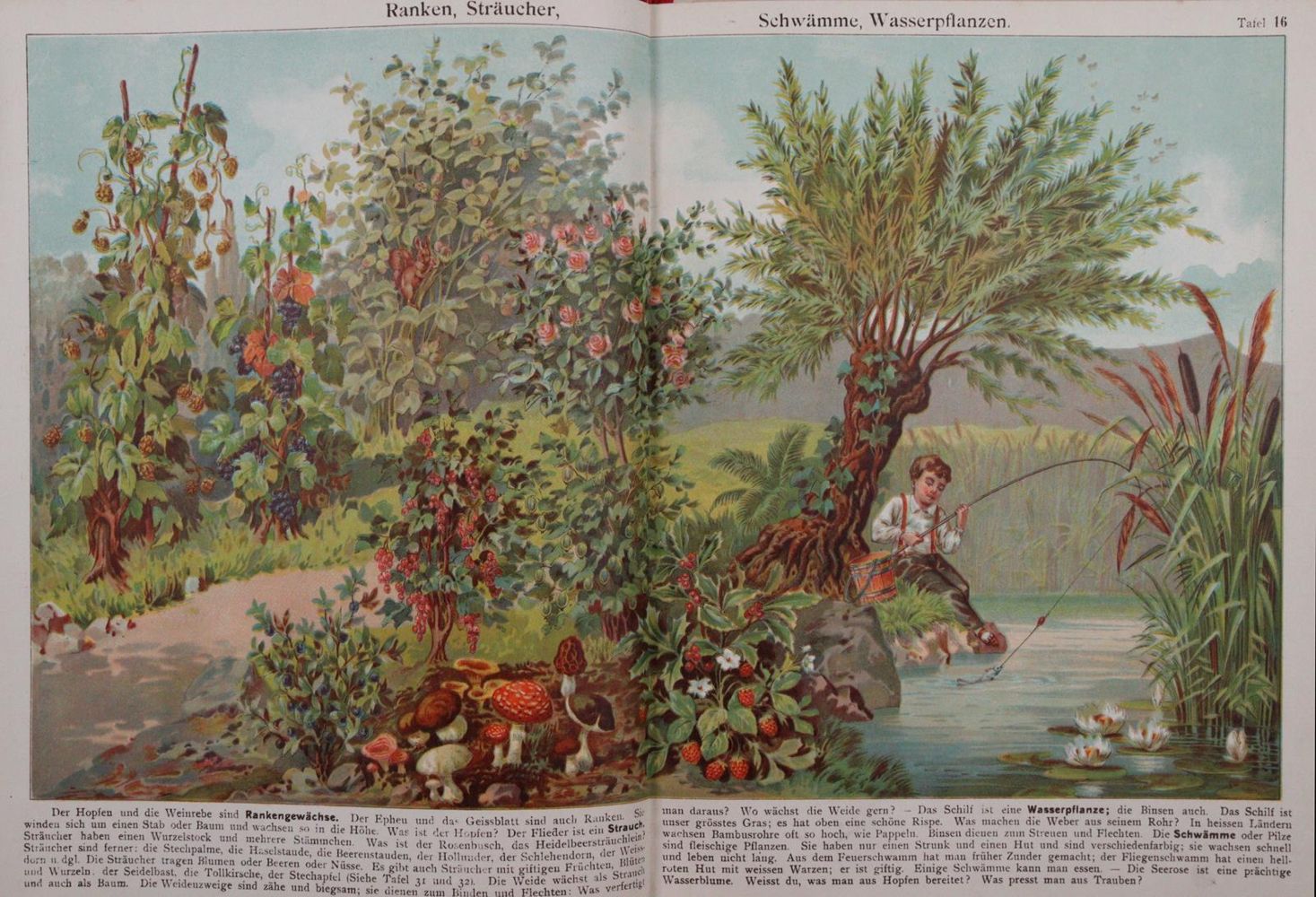 Große Abbildung Nr.5: 145-916 Sammlung: (Children´s books)
