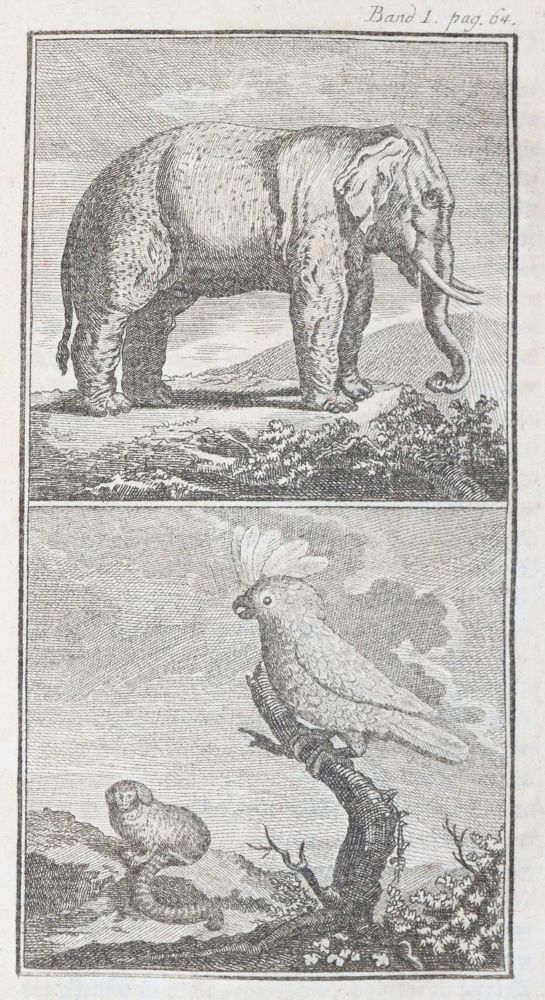 Große Abbildung Nr.6: 145-935 (Weiße,C.F. Hrsg.).: (Children´s books)