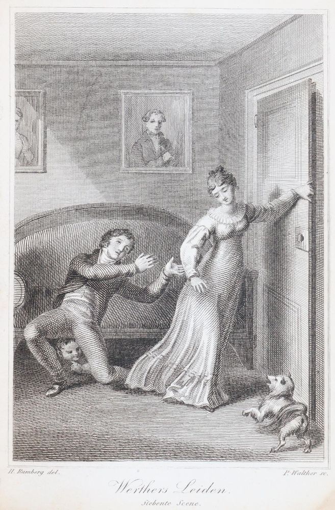 Große Abbildung Nr.6: 145-939 Taschenbuch: (Almanache)