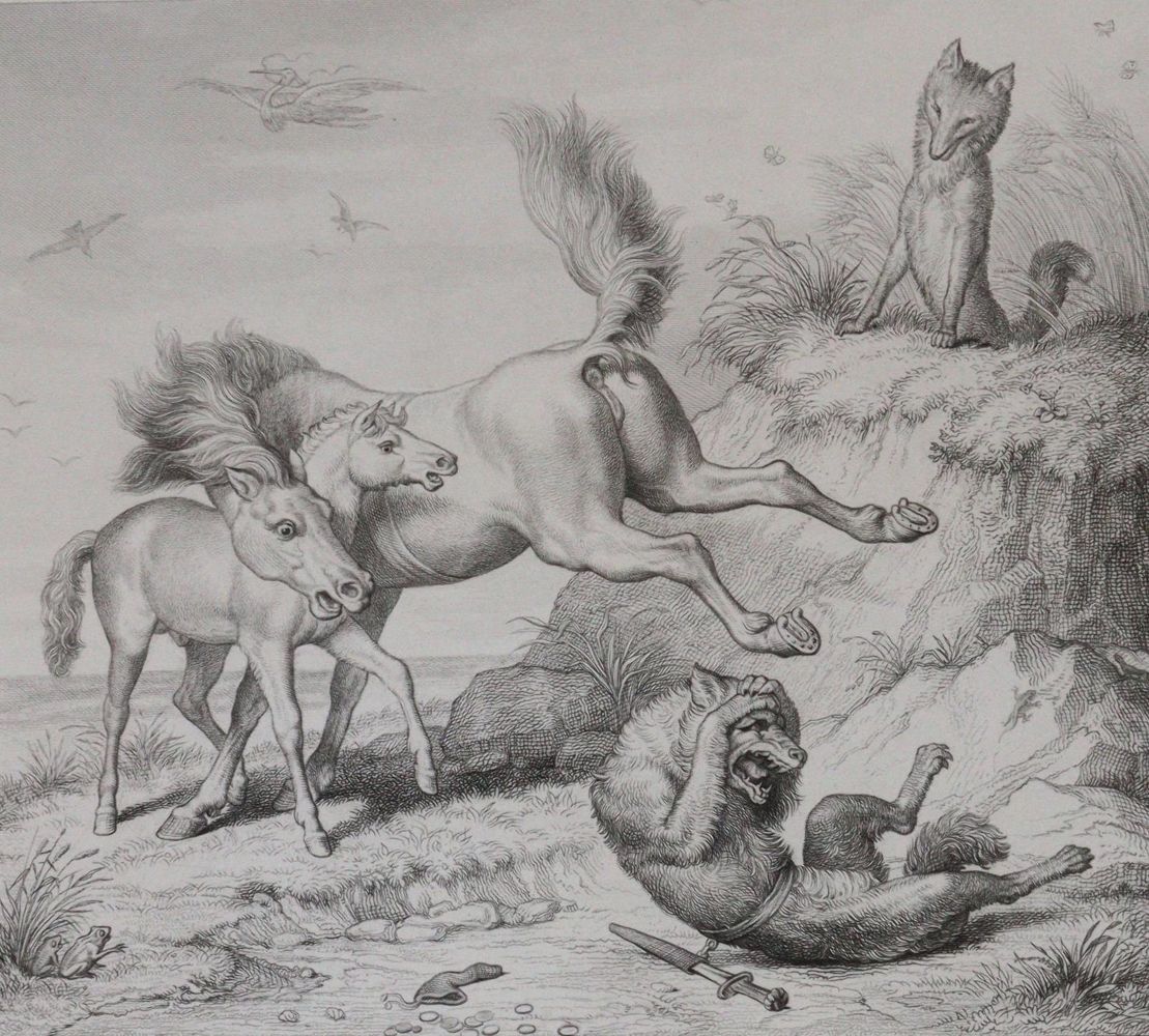 Große Abbildung Nr.5: 145-998 Goethe,J.W.v.: (Literature and illustrated books 19th century)