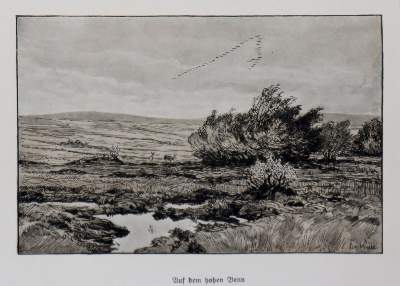 Bild Nr.2: 145-1183 Viebig,C.: (Eifel)