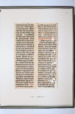 Bild Nr.10118: 145-122 Handschrift zum Buch, Von der: (Handschriften)