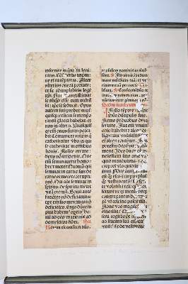Bild Nr.10119: 145-122 Handschrift zum Buch, Von der: (Handschriften)