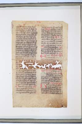Bild Nr.1043: 145-122 Handschrift zum Buch, Von der: (Handschriften)