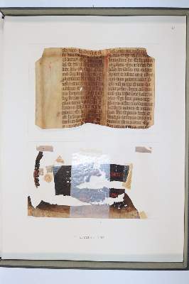 Bild Nr.1044: 145-122 Handschrift zum Buch, Von der: (Handschriften)