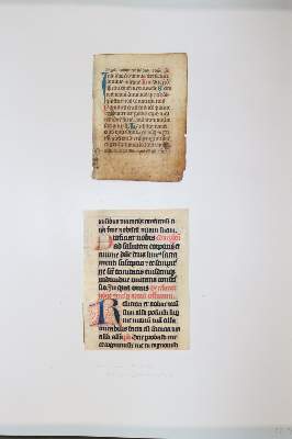 Bild Nr.1053: 145-122 Handschrift zum Buch, Von der: (Handschriften)