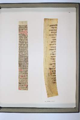 Bild Nr.1074: 145-122 Handschrift zum Buch, Von der: (Handschriften)
