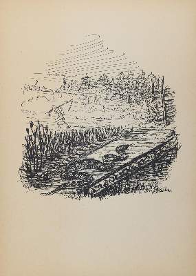 Bild Nr.6: 145-1266 Kubin, Alfred: (Modern literature and illustrated books 20th century)