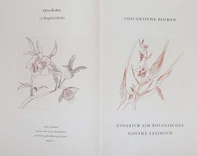 Bild Nr.1: 145-1344 Rohse,O.: (Literatur und illustrierte Bücher 20.Jahrhundert - Alte Literatur in modernen Ausgaben)