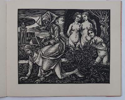 Bild Nr.5: 145-1371 Tod von Basel, Der.: (Modern literature and illustrated books 20th century)
