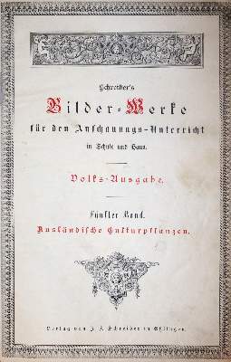 Bild Nr.1: 145-1397 Ahles,(W.E.v.).: (Botanik)