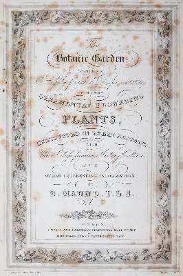 Bild Nr.1: 145-1402 Curtis,W.: (Botanik)