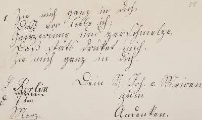 Bild Nr.3139: 145-141 Stammbücher.: (Handschriften)