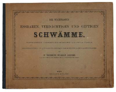 Bild Nr.2: 145-1411 Lorinser,F.W.: (Botanik, Pilze)