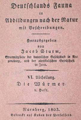 Bild Nr.1: 145-1420 Sturm,J.: (Botanik, Würmer)