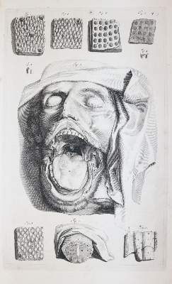 Bild Nr.7: 145-1434 Cowper,W.: (Medizin)
