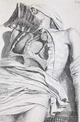 Bild Nr.9: 145-1434 Cowper,W.: (Medizin)