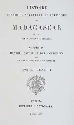 Bild Nr.1: 145-1491 Grandidier,A.: (Zoologie, Affen)