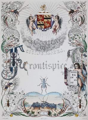 Bild Nr.1: 145-1503 Thomson,J.: (Zoologie, Insekten)