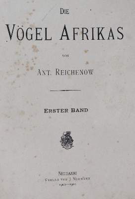 Bild Nr.1: 145-1514 Reichenow,A.: (Zoologie, Vögel)