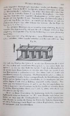 Bild Nr.2: 145-1558 Wiedemann,G.: (Verschiedene Gebiete - Varia, Elektrizität, Galvanik)
