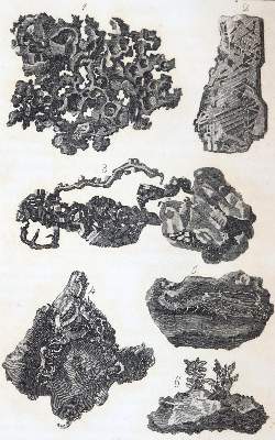 Bild Nr.3: 145-1565 Leonhard,K.C.v.: (Verschiedene Gebiete - Varia, Geologie - Mineralogie u. Paläontologie)