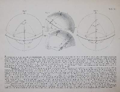 Bild Nr.6: 145-1573 Kohl,F.: (Verschiedene Gebiete - Varia)