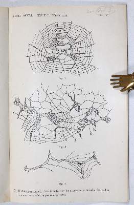 Bild Nr.3: 145-1599 Sammlung: (Verschiedene Gebiete - Varia, Physik)