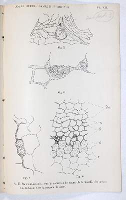 Bild Nr.4: 145-1599 Sammlung: (Verschiedene Gebiete - Varia, Physik)