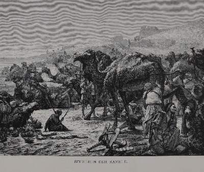 Bild Nr.6: 145-1619 Ebers,G.: (Afrika, Ägypten)
