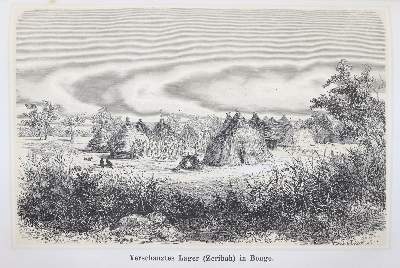 Bild Nr.1: 145-1623 Heuglin,M.T.v.: (Afrika)
