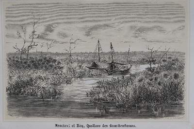 Bild Nr.4: 145-1623 Heuglin,M.T.v.: (Afrika)