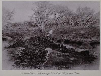 Bild Nr.2: 145-1628 Meyer,H.: (Afrika)