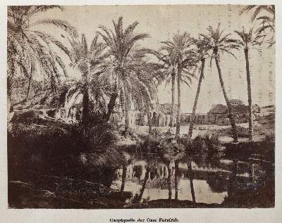 Bild Nr.5: 145-1630 Rohlfs,G.: (Afrika)