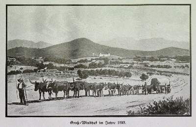 Bild Nr.3: 145-1631 Sammlung: (Afrika)