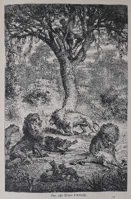 Bild Nr.1: 145-1632 Sammlung: (Afrika)