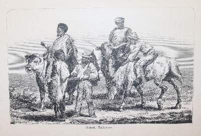 Bild Nr.6: 145-1632 Sammlung: (Afrika)