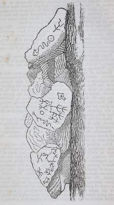 Bild Nr.4: 145-1639 Emory,W.H.: (Amerika)